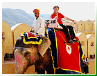 Passeio de elefante Jaipur